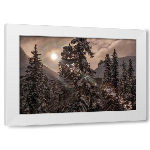 Jasper National Park in Alberta Canada wakes to another winter sunrise White Modern Wood Framed Art Print by Steve Mohlenkamp