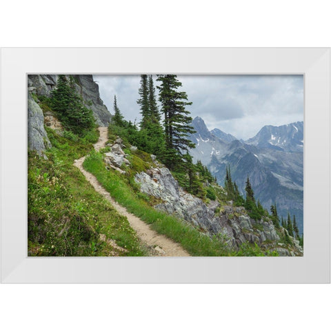 Abbott Ridge Trail along cliffs below Mount Abbott Selkirk Mountains Glacier National Park White Modern Wood Framed Art Print by Majchrowicz, Alan