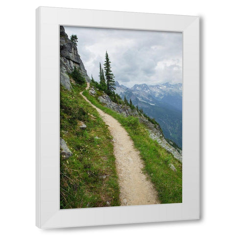 Abbott Ridge Trail along cliffs below Mount Abbott Selkirk Mountains Glacier National Park White Modern Wood Framed Art Print by Majchrowicz, Alan