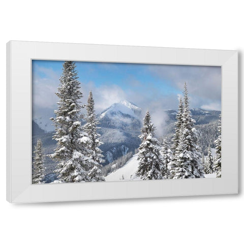 North Cascades in fresh winter snow Manning Provincial Park-British Columbia White Modern Wood Framed Art Print by Majchrowicz, Alan