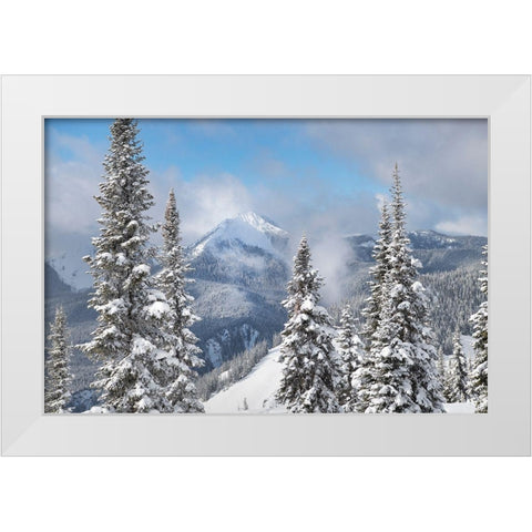 North Cascades in fresh winter snow Manning Provincial Park-British Columbia White Modern Wood Framed Art Print by Majchrowicz, Alan