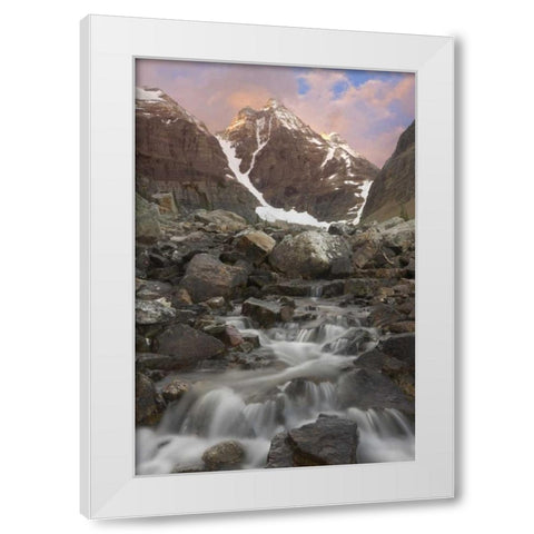 Canada, Yoho NP Small rapids and Cathedral Mt White Modern Wood Framed Art Print by Paulson, Don