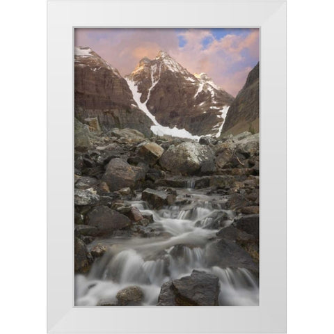 Canada, Yoho NP Small rapids and Cathedral Mt White Modern Wood Framed Art Print by Paulson, Don