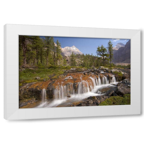 Canada, BC, Yoho NP, Opabin Terrace Waterfall White Modern Wood Framed Art Print by Paulson, Don