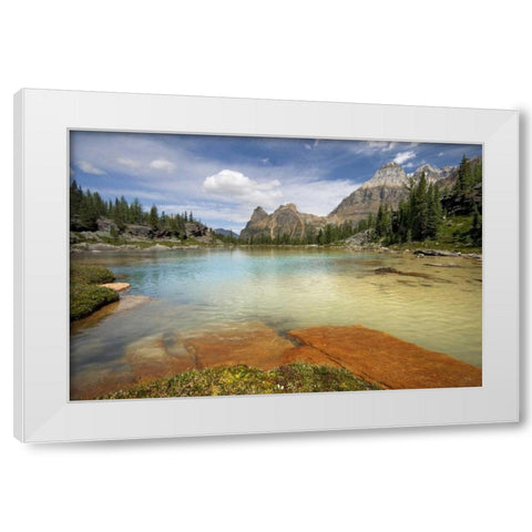 Canada, BC, Yoho NP Opabin Terrace Pools White Modern Wood Framed Art Print by Paulson, Don