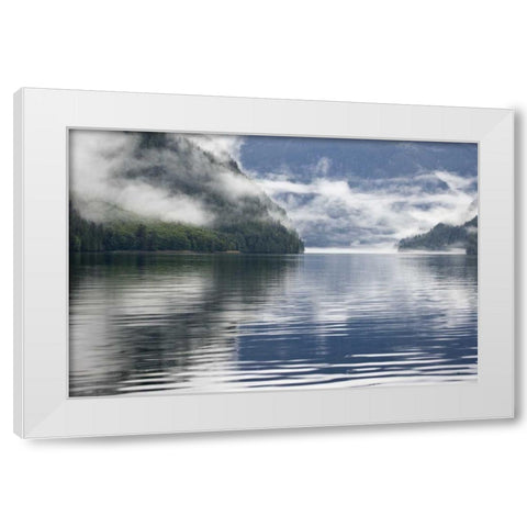 Canada, BC, Fog-shrouded forest by ocean inlet White Modern Wood Framed Art Print by Paulson, Don