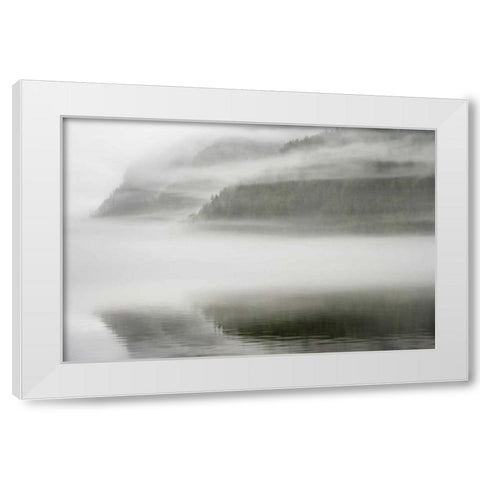 Canada, BC, Calvert Island Fog shrouded forest White Modern Wood Framed Art Print by Paulson, Don