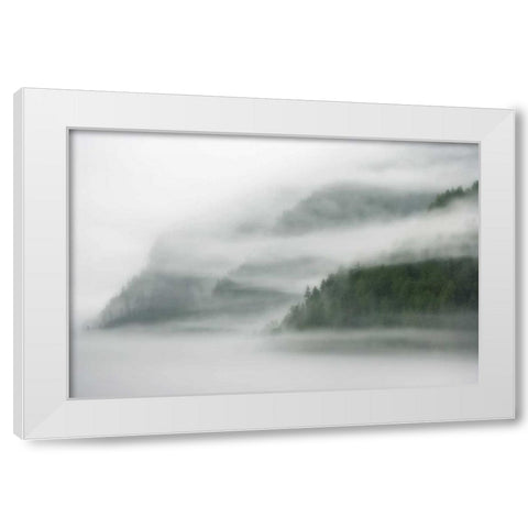 Canada, BC, Mist and fog shroud the island White Modern Wood Framed Art Print by Paulson, Don