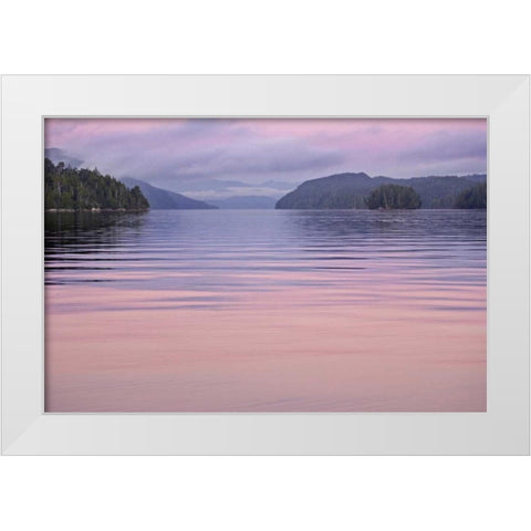 Canada, BC, Calvert Island Sunset reflections White Modern Wood Framed Art Print by Paulson, Don