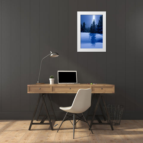 Canada, BC, Smithers Winter snow landscape White Modern Wood Framed Art Print by Young, Bill