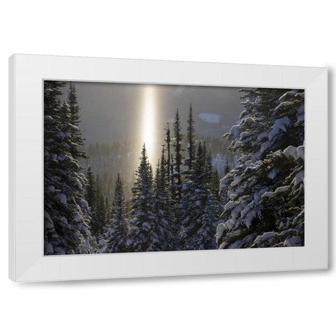 Canada, BC, Smithers Winter snow landscape White Modern Wood Framed Art Print by Young, Bill