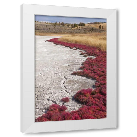 Canada, BC, Kamloops Grass and dried lake bed White Modern Wood Framed Art Print by Paulson, Don