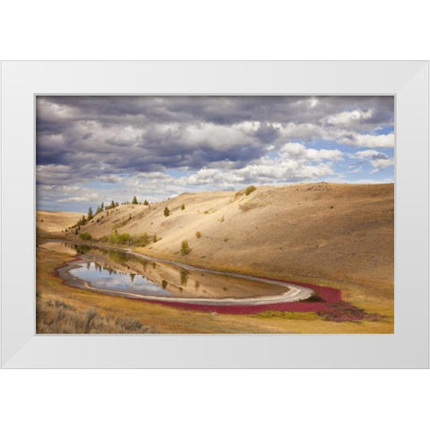 Canada, Kamloops, Lac Du Bois Grasslands Park White Modern Wood Framed Art Print by Paulson, Don