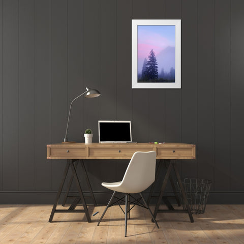 Canada, BC, Mt Robson PP Foggy sunrise scenic White Modern Wood Framed Art Print by Paulson, Don