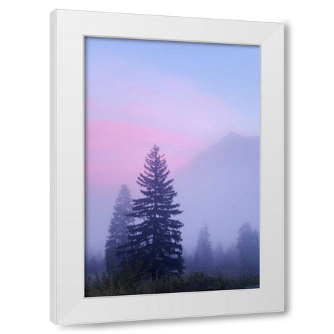 Canada, BC, Mt Robson PP Foggy sunrise scenic White Modern Wood Framed Art Print by Paulson, Don