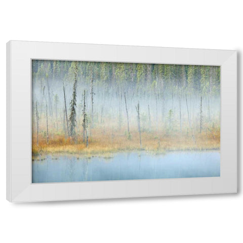 Canada, BC, Mt Robson PP Foggy pond and forest White Modern Wood Framed Art Print by Paulson, Don