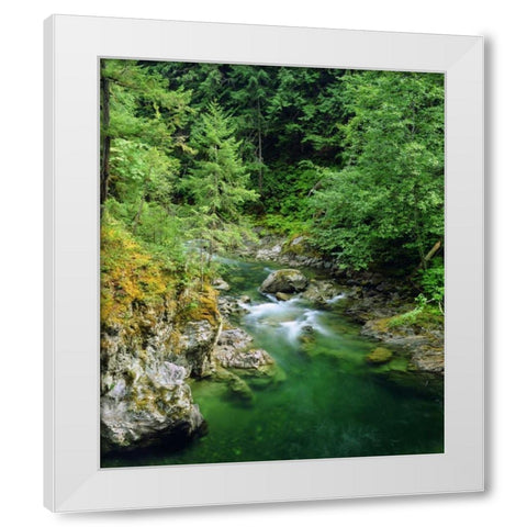 Little Qualicum River on Vancouver Island, Canada White Modern Wood Framed Art Print by Talbot Frank, Christopher