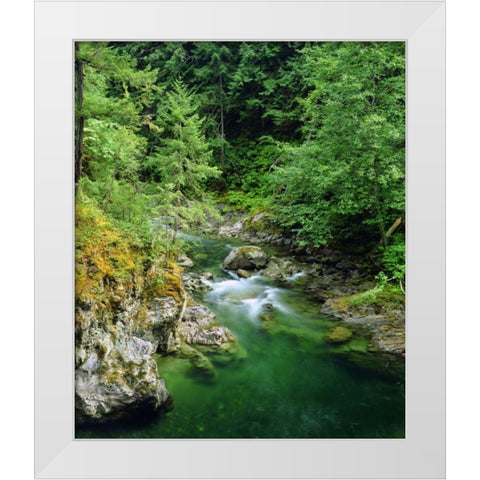 Little Qualicum River on Vancouver Island, Canada White Modern Wood Framed Art Print by Talbot Frank, Christopher