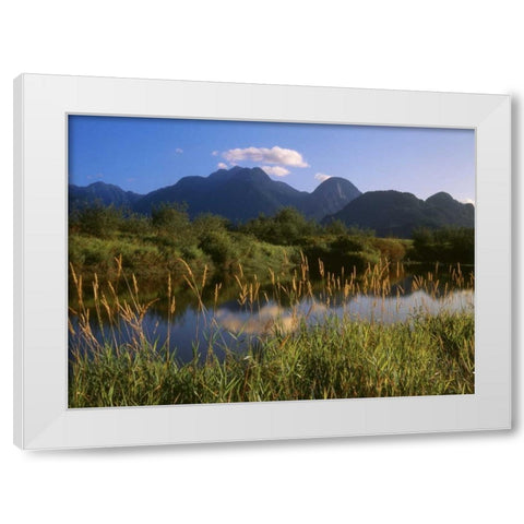 Canada, Pitt Addington Wildlife Management Area White Modern Wood Framed Art Print by Grandmaison, Mike