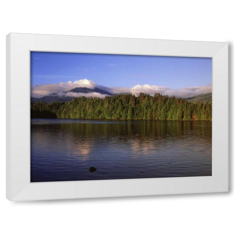 Canada, British Columbia, Coastal forest White Modern Wood Framed Art Print by Grandmaison, Mike