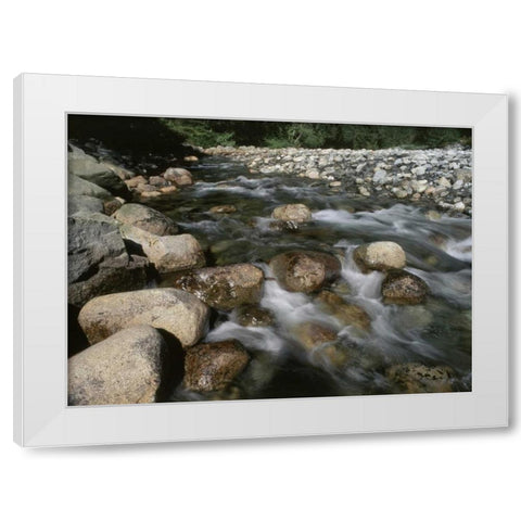 Canada, BC, Gold Creek at Golden Ears PP White Modern Wood Framed Art Print by Grandmaison, Mike