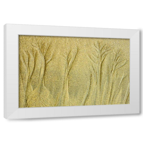 Canada, Pacific Rim NP Patterns on the beach White Modern Wood Framed Art Print by Grandmaison, Mike