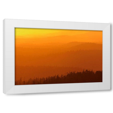 Canada, BC, Mountains of rain forest at sunset White Modern Wood Framed Art Print by Grandmaison, Mike
