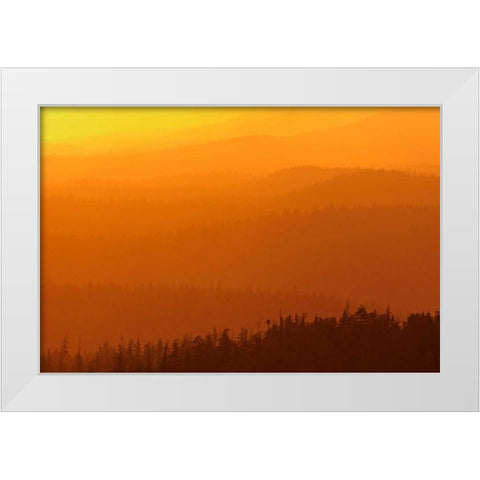 Canada, BC, Mountains of rain forest at sunset White Modern Wood Framed Art Print by Grandmaison, Mike