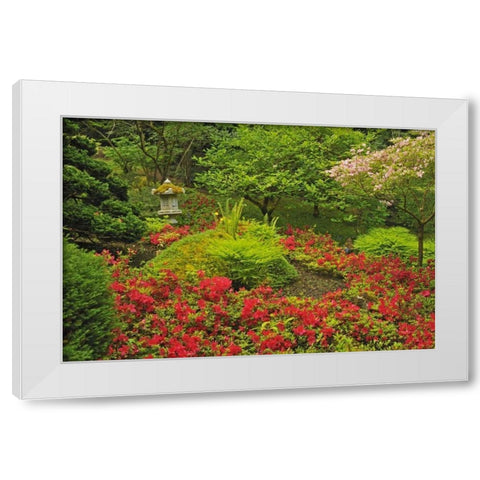 Canada, BC, Vancouver Lush Green Garden White Modern Wood Framed Art Print by Grandmaison, Mike