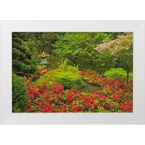 Canada, BC, Vancouver Lush Green Garden White Modern Wood Framed Art Print by Grandmaison, Mike