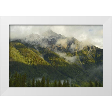 Canada, BC, Mt Robson PP Mountain landscape White Modern Wood Framed Art Print by Grandmaison, Mike
