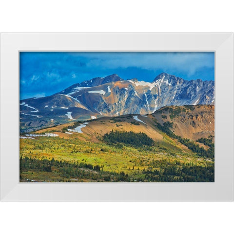 Canada-British Columbia-Sunshine Meadows Mountain and valley landscape White Modern Wood Framed Art Print by Jaynes Gallery