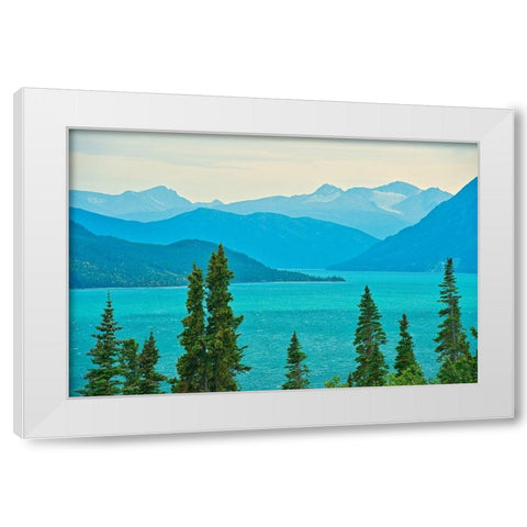 Canada-British Columbia Tutshi Lake and Coast Mountains landscape White Modern Wood Framed Art Print by Jaynes Gallery