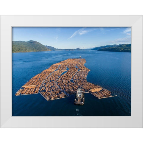 Canada-British Columbia-Campbell River-Aerial view of tugboat pushing boom of freshly cut logs White Modern Wood Framed Art Print by Souders, Paul