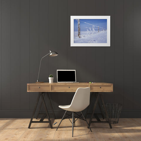 Canada, Manitoba, Dugald, hoarfrost and fence White Modern Wood Framed Art Print by Grandmaison, Mike