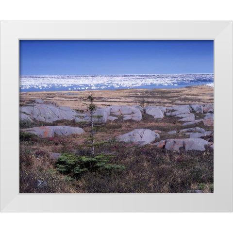 Canada, Manitoba, Churchill, Ice floe floating White Modern Wood Framed Art Print by Grandmaison, Mike