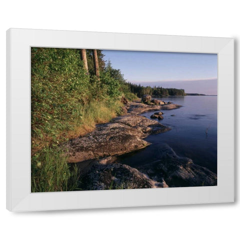 Canada, Manitoba, Sasagiu Rapids Provincial Park White Modern Wood Framed Art Print by Grandmaison, Mike
