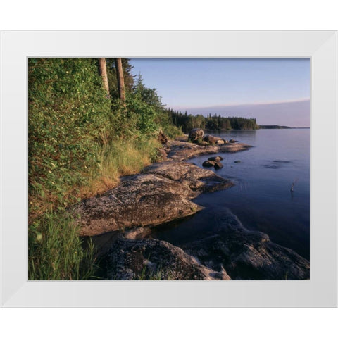 Canada, Manitoba, Sasagiu Rapids Provincial Park White Modern Wood Framed Art Print by Grandmaison, Mike