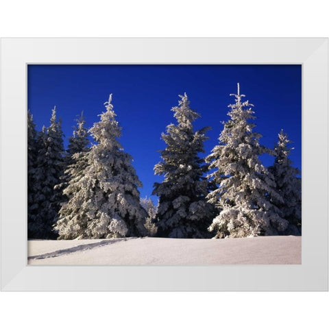 Canada, Manitoba, Riding Mountain NP White Modern Wood Framed Art Print by Grandmaison, Mike
