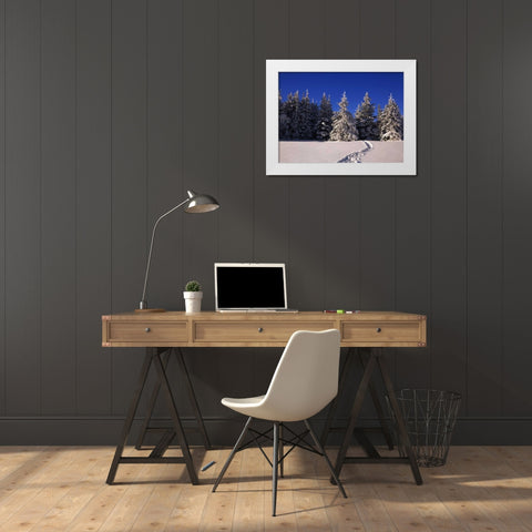 Canada, Manitoba, Riding Mountain NP White Modern Wood Framed Art Print by Grandmaison, Mike
