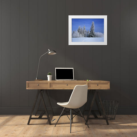 Canada, Manitoba, Birds Hill Provincial Park White Modern Wood Framed Art Print by Grandmaison, Mike