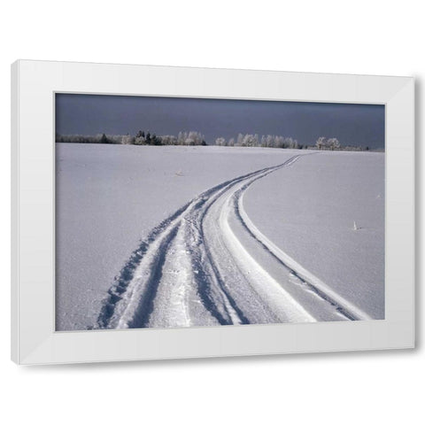 Canada, Manitoba, Tire tracks in snow landscape White Modern Wood Framed Art Print by Grandmaison, Mike