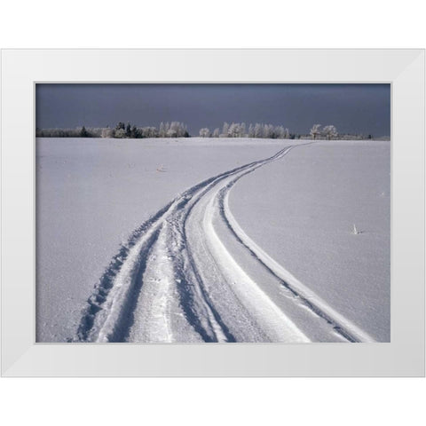 Canada, Manitoba, Tire tracks in snow landscape White Modern Wood Framed Art Print by Grandmaison, Mike