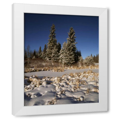 Canada, Manitoba, Riding Mountain NP White Modern Wood Framed Art Print by Grandmaison, Mike