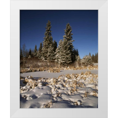 Canada, Manitoba, Riding Mountain NP White Modern Wood Framed Art Print by Grandmaison, Mike