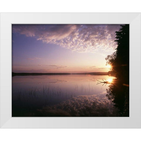 Canada, Manitoba, Duck Mountain Provincial Park White Modern Wood Framed Art Print by Grandmaison, Mike