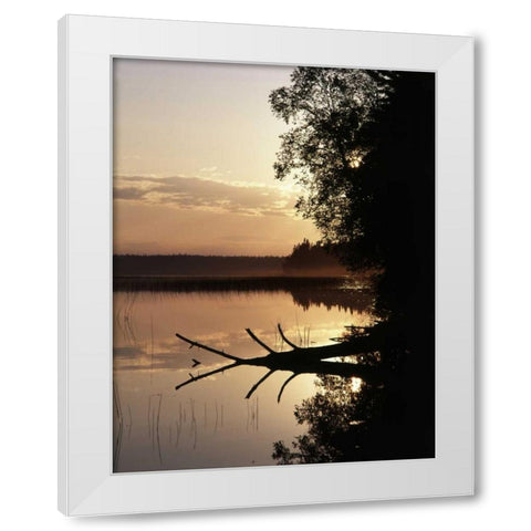 Canada, Manitoba, Childs lake in Duck Mountain PP White Modern Wood Framed Art Print by Grandmaison, Mike