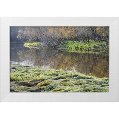 Canada Manitoba Fall on shore of LaSalle River White Modern Wood Framed Art Print by Grandmaison, Mike