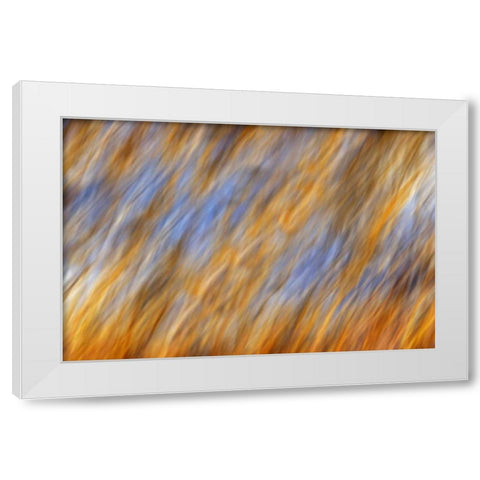 Canada, Manitoba Abstract of autumn leaves White Modern Wood Framed Art Print by Grandmaison, Mike