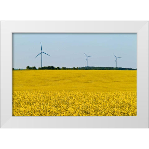 Canada, Somerset Wind turbines and canola White Modern Wood Framed Art Print by Grandmaison, Mike